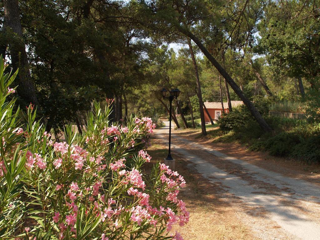 Roque Blanc Chambres La Roque-d'Antheron Εξωτερικό φωτογραφία